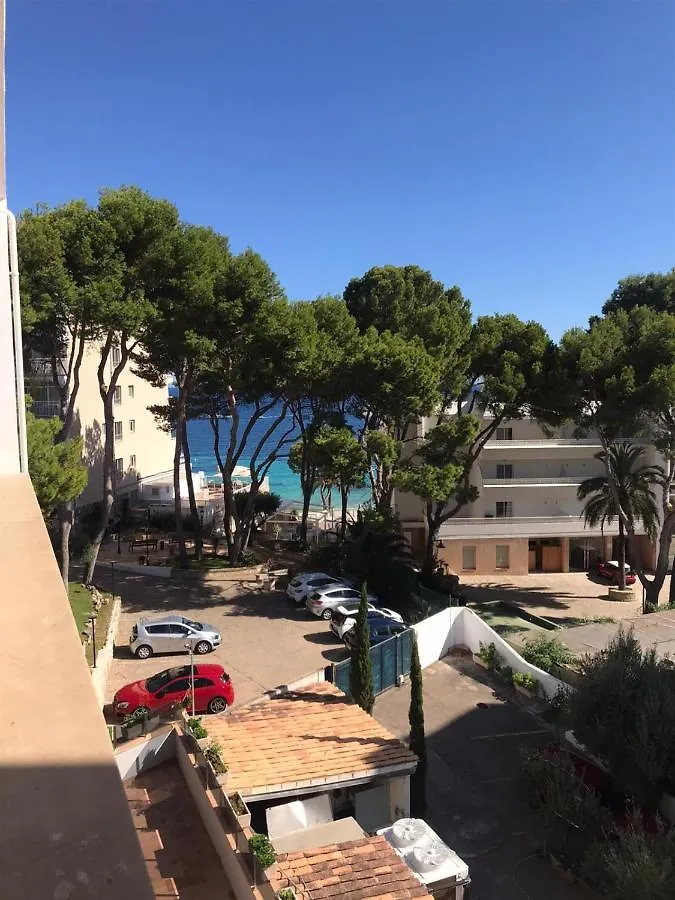 Nightlife Apartments Magaluf   Magaluf (Mallorca)